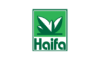 haifa