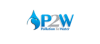 p2w